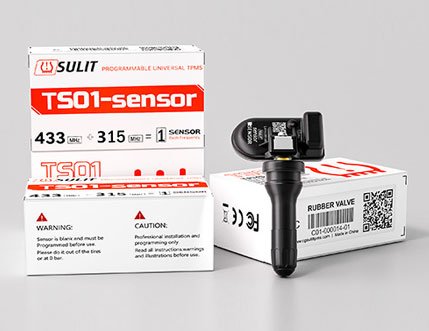 Professional TPMS Solutions